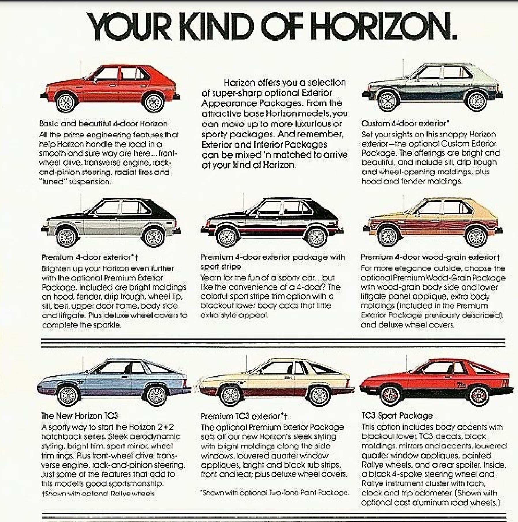 1979 Plymouth Horizon