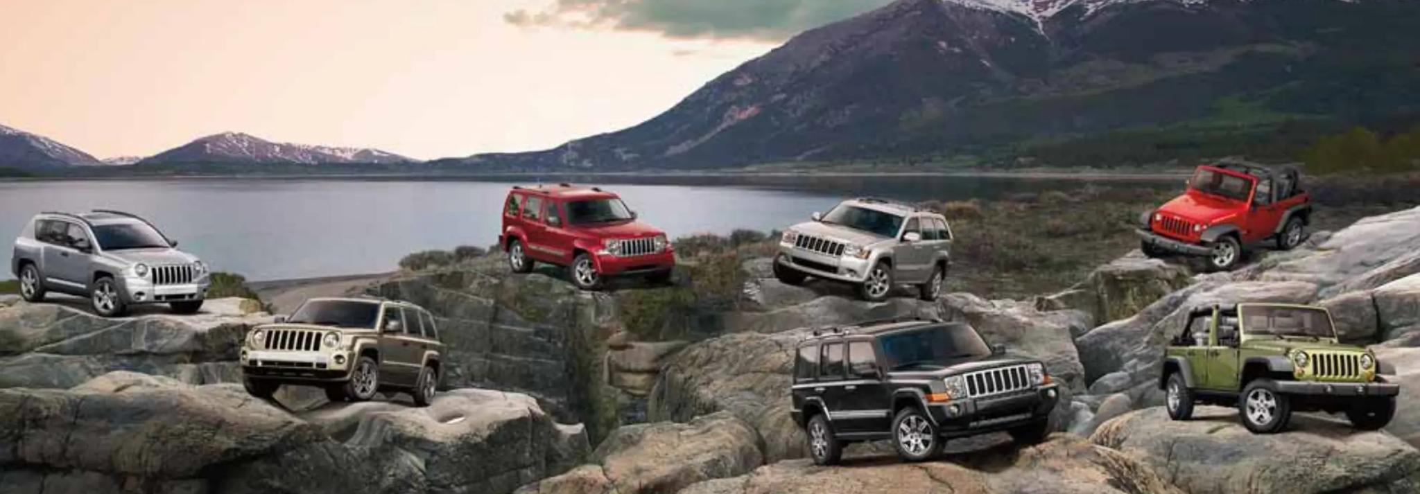 2008 Jeep Vehicle Line up all 2008 jeep vehicles in 1 photo