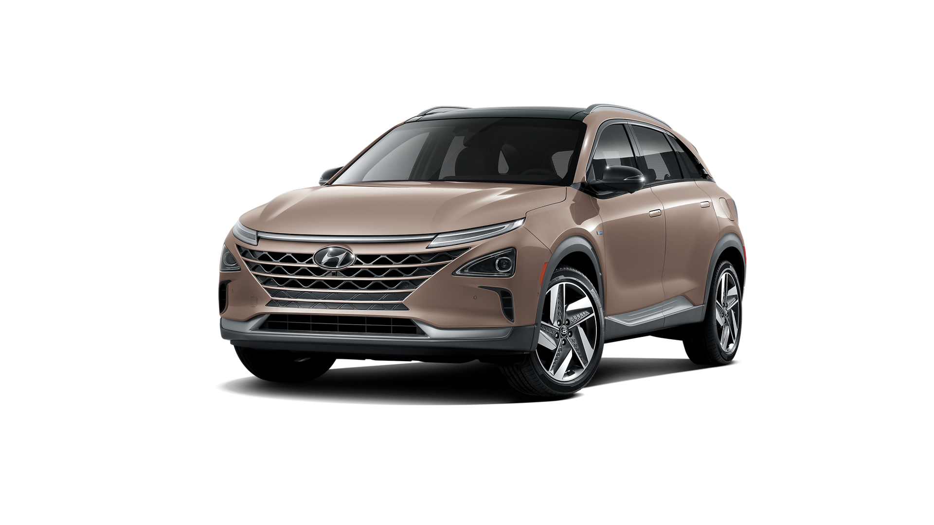 Hyundai 2020 2020 Copper Metallic