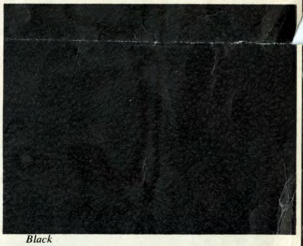 Black 1967 Camaro Interior Color