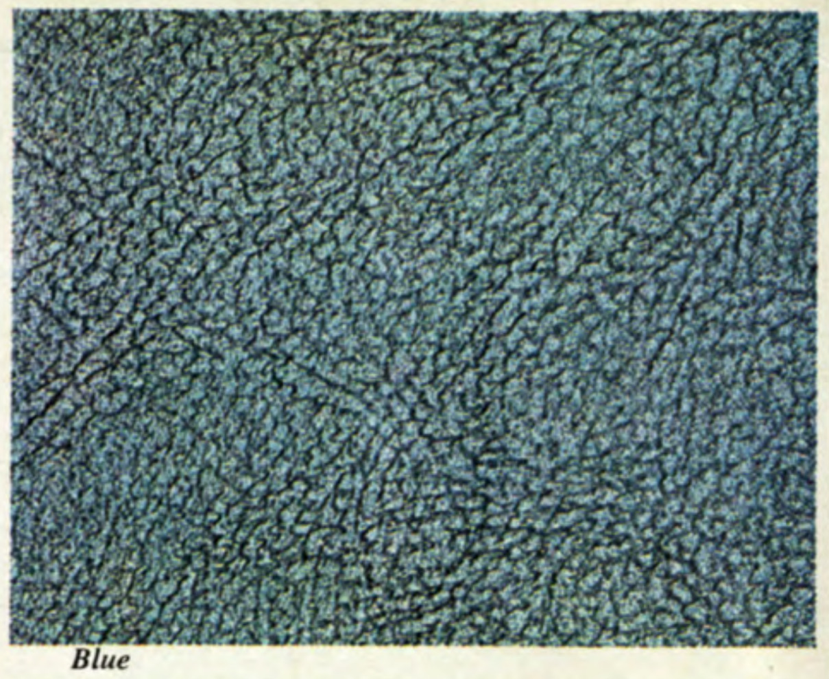 Blue 1967 Camaro Interior Color
