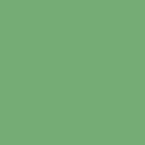 2020 Ram Color Code Light Green Solid Code: PGC