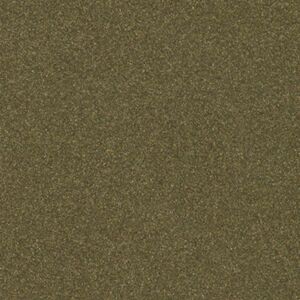 2020 Ram Color Code Olive Green Pearl PFP, KFP