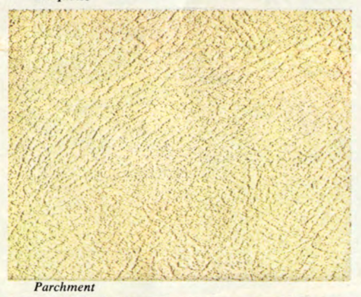 Parchment 1967 Camaro Interior Color