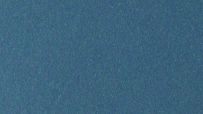 PCCL24