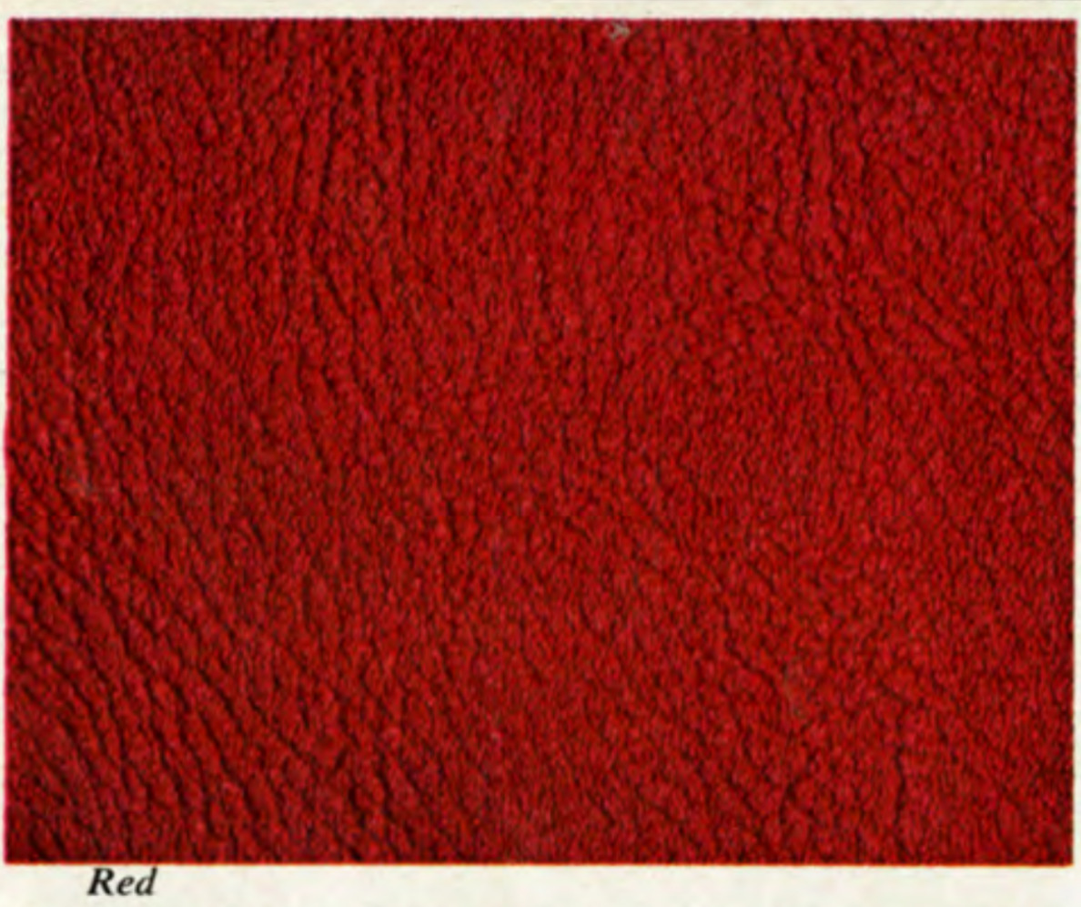 Red 1967 Camaro Interior Color