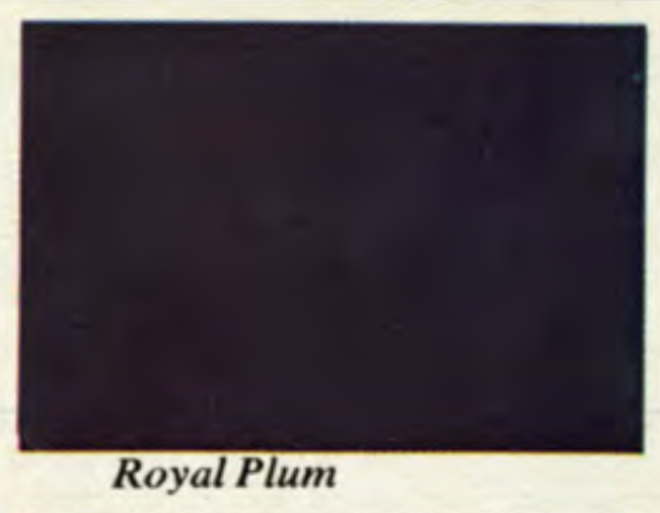Royal Plum Main Body Color for a 1967 Camaro