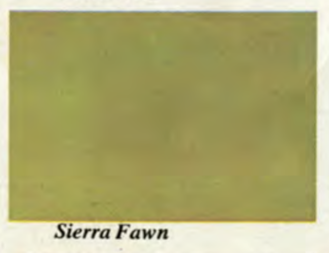 Sierra Fawn Main Body Color for a 1967 Camaro