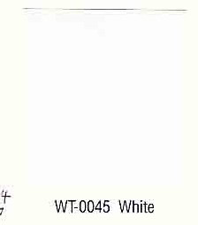 Ford Fleet Color WT0045 white Ford Fleet Color Chip Example