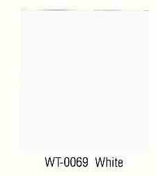 Ford Fleet Color WT0069 Ford Fleet Color Chip Example