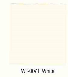 Ford Fleet Color WT0071 white Ford Fleet Color Chip Example