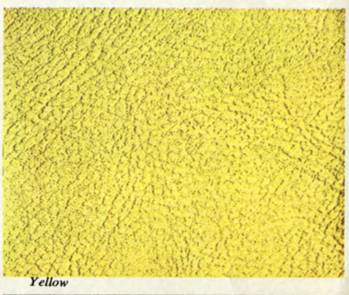 Yellow 1967 Camaro Interior Color