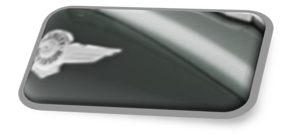 2020 Harley Spruce