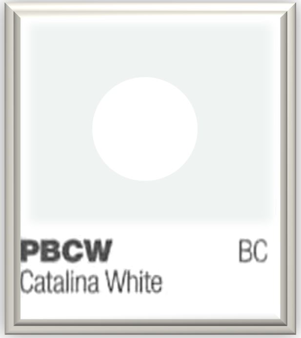 2016 Tesla Color PBCW Catalina White