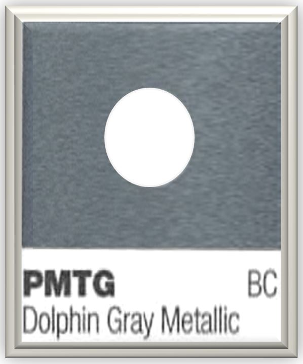 2016 Tesla Color PMGT Dolphin Gray Metallic